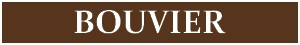 bouvier.jpg