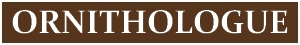 ornithologue.jpg